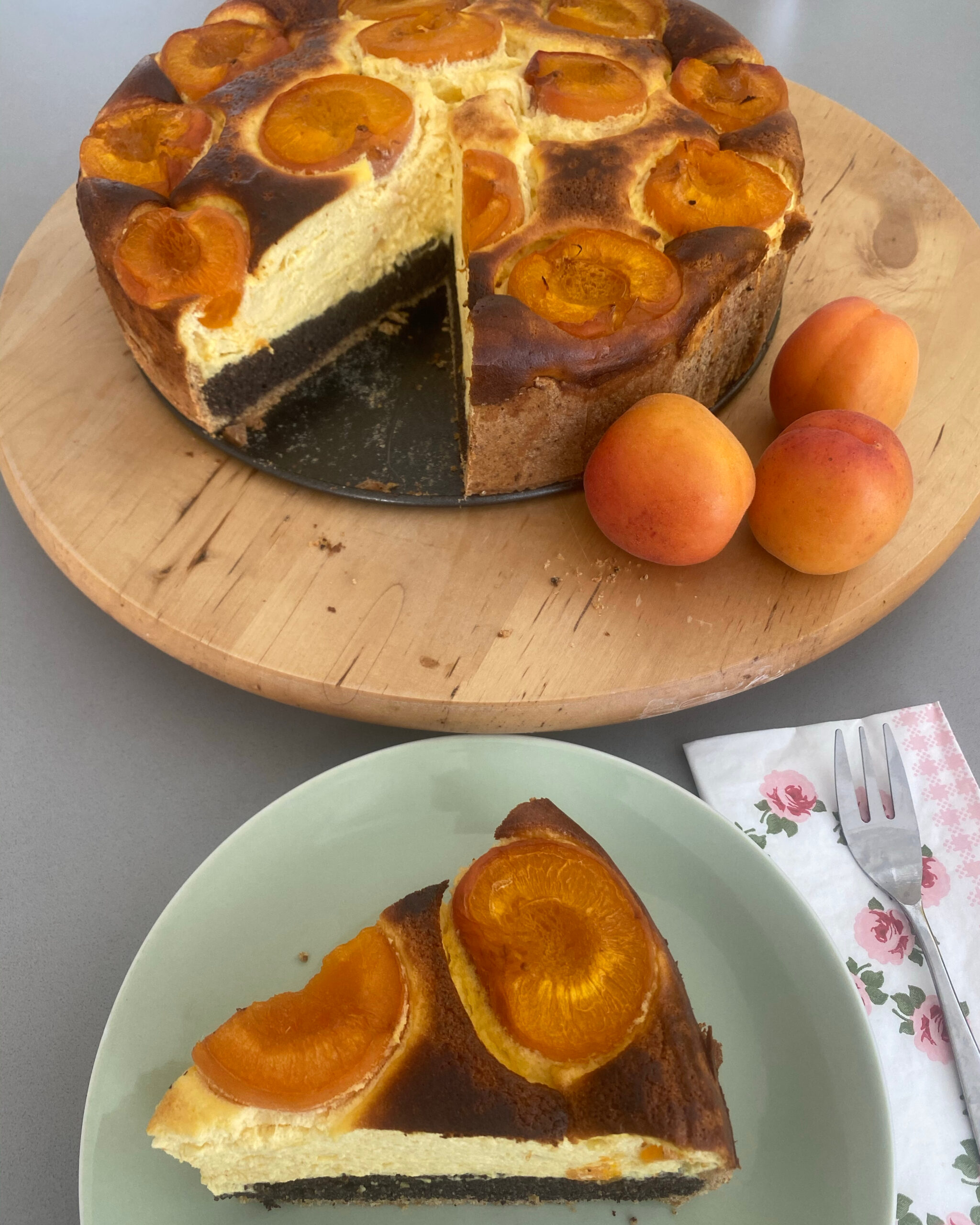 Vollkorn-Topfen-Mohn-Marillenkuchen