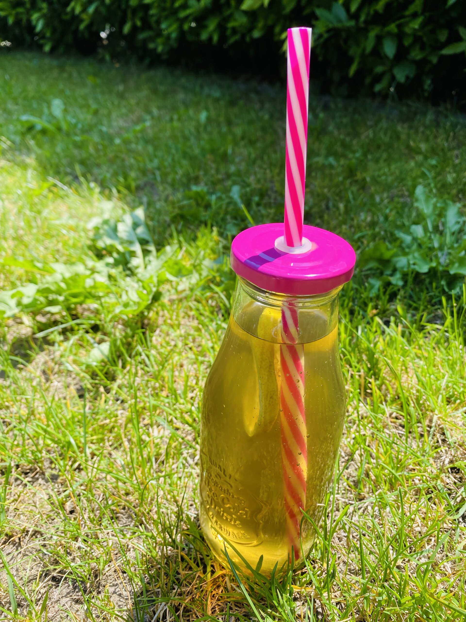 Erfrischender Brennnessel Eistee